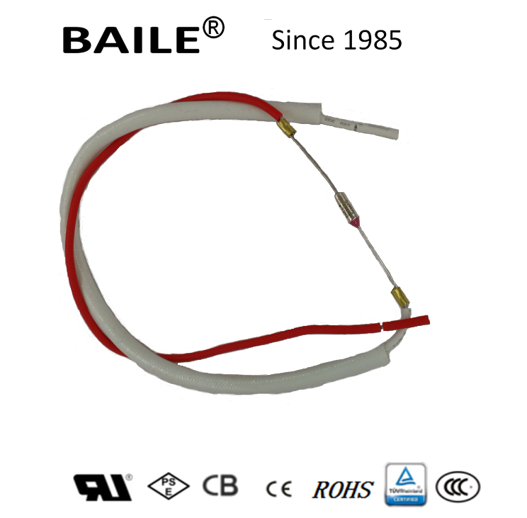 Thermal Fuse for Air Fryer