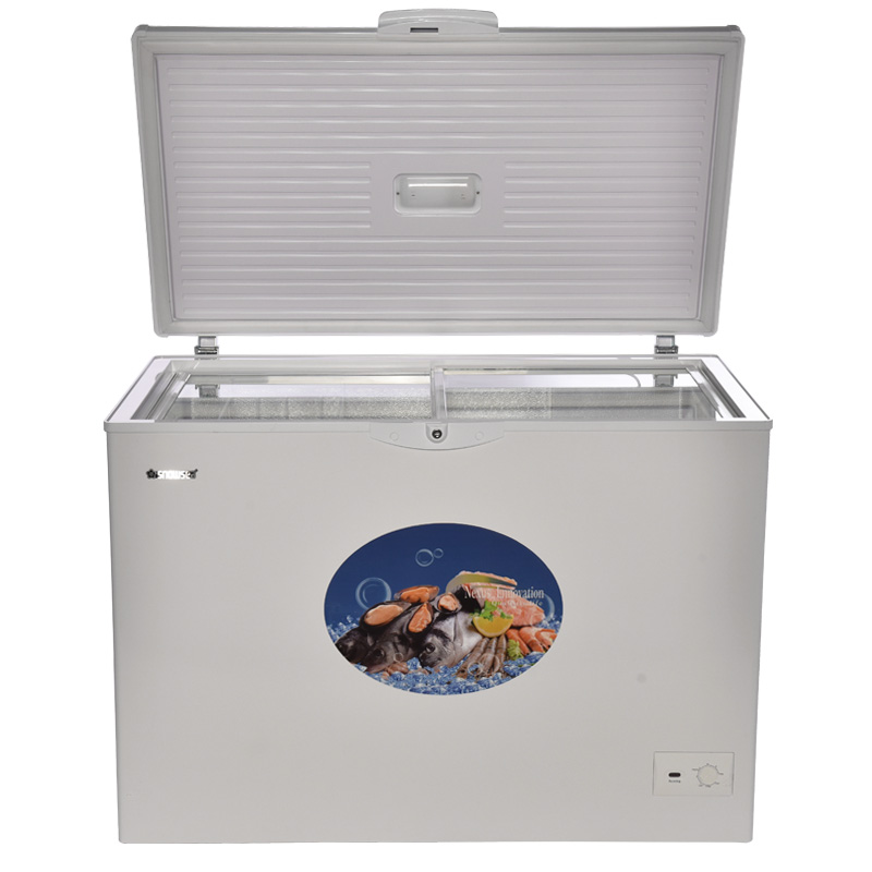 SNOWSEA Chest Freezer BD-300A