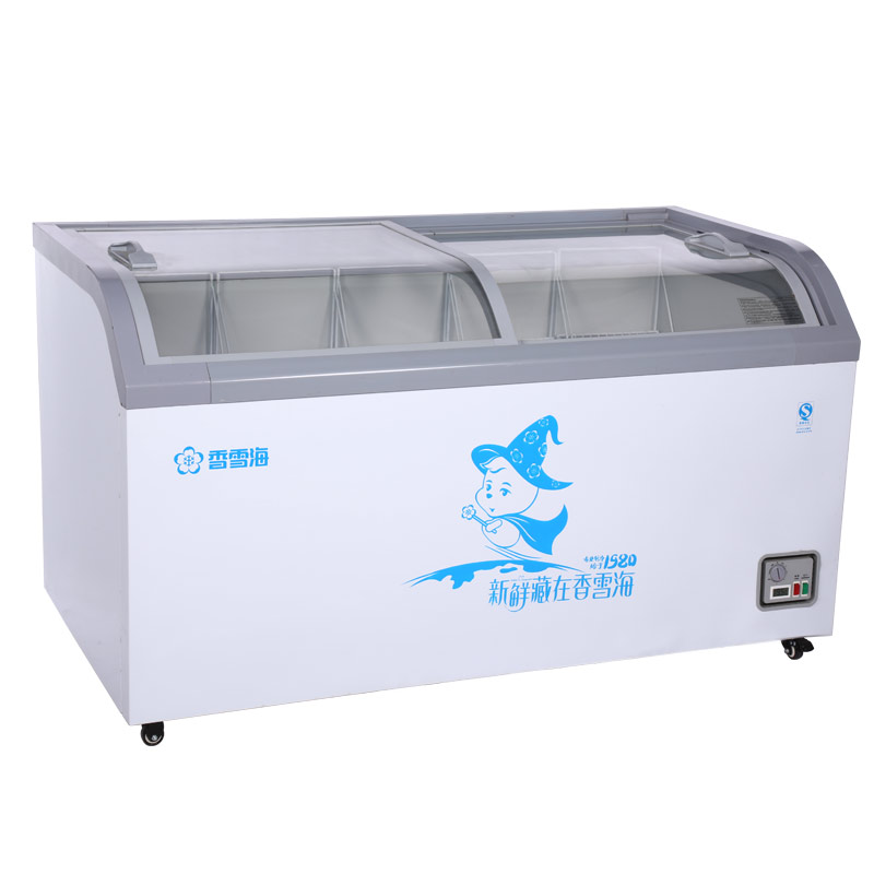 SNOWSEA Ice Cream Freezer SD-505Z
