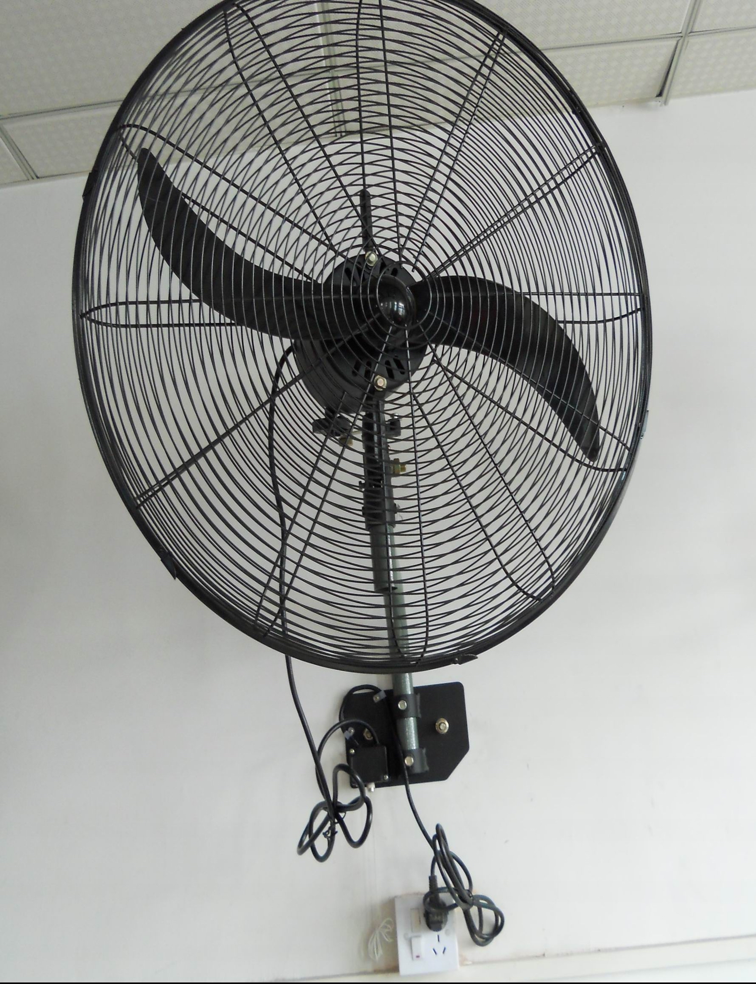 Canton Fair product