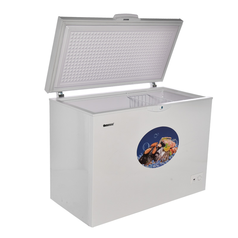 SNOWSEA Chest Freezer BD-238