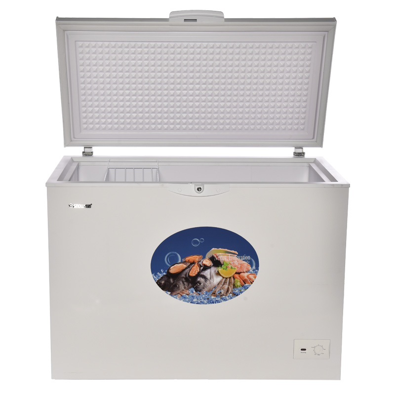 SNOWSEA Chest Freezer BD-268