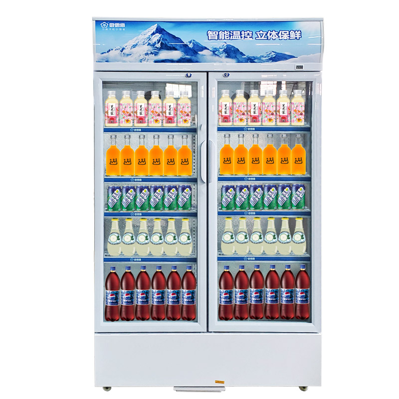 Snowsea Showcase Chiller LC-733A