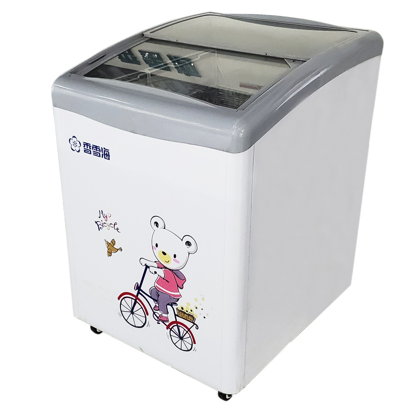 Snowsea Ice Cream Freezer SD/SC-158