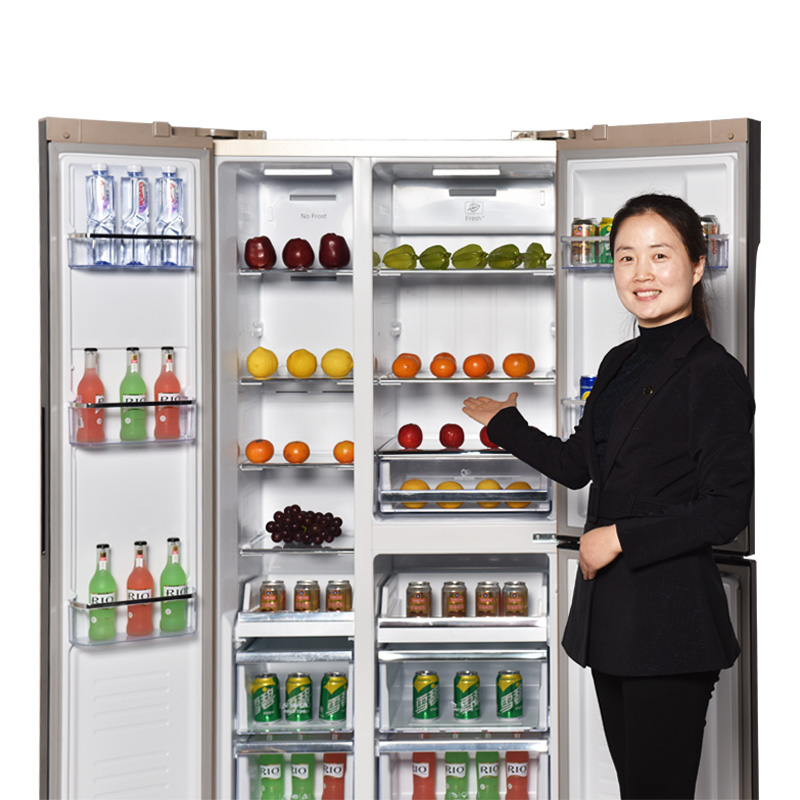 SNOWSEA Double Door Refrigerator BCD-501