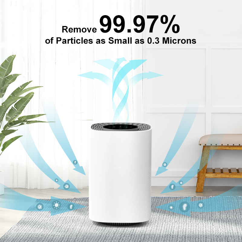 Portable HEPA Air Purifier with CH2O Bacteria Filter