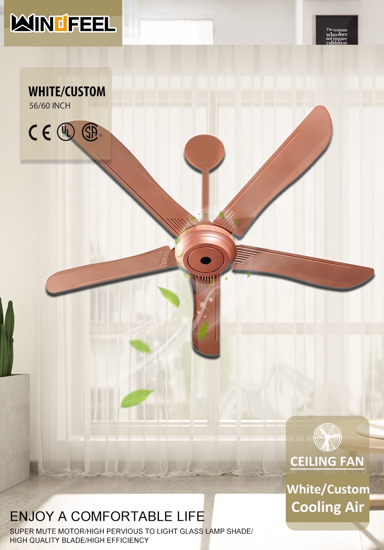 Ceiling Fan