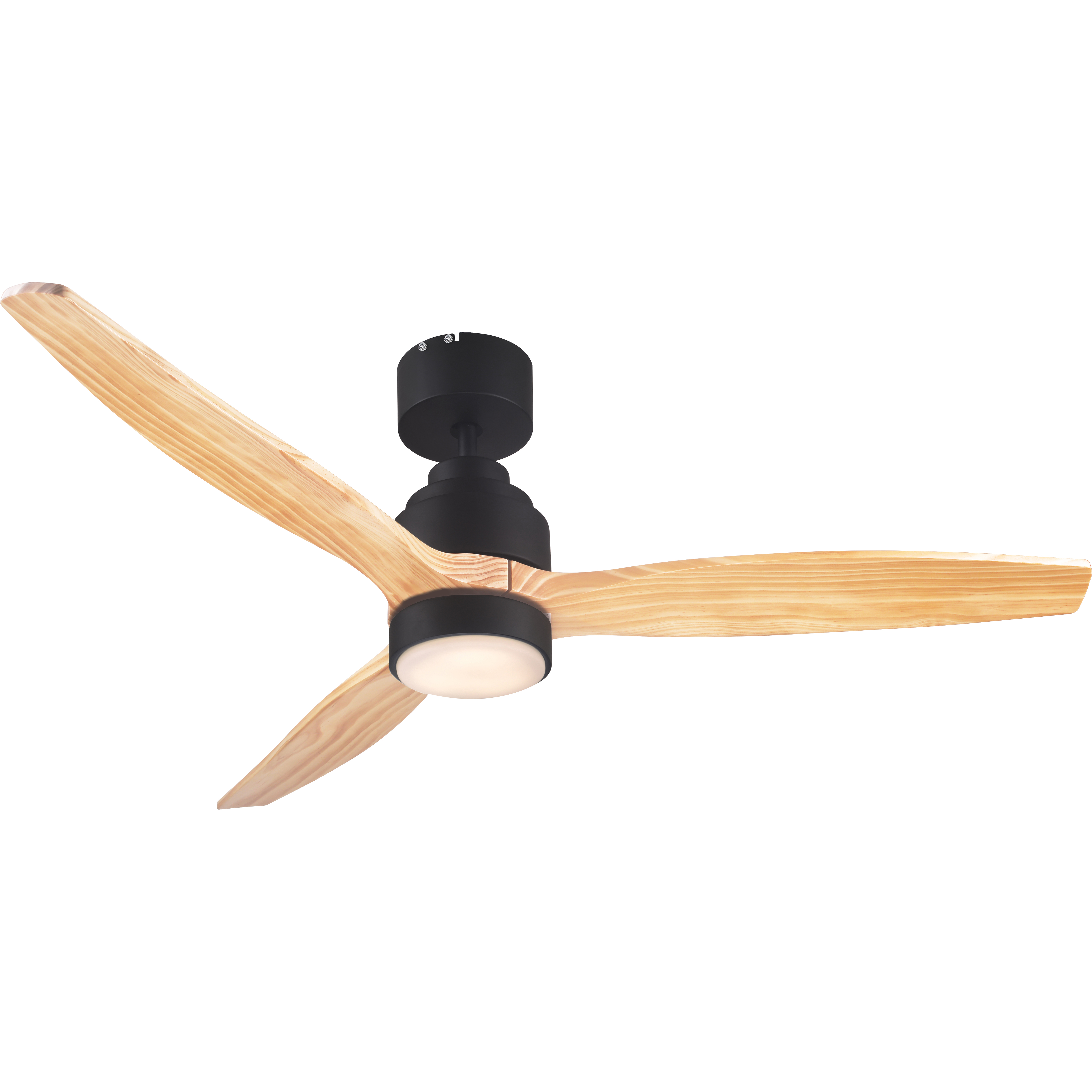 Ceiling Fan with Light
