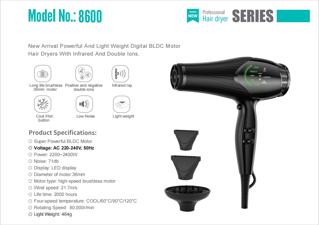 High Wind Speed BLDC Hair Dryer with Infrared Ray