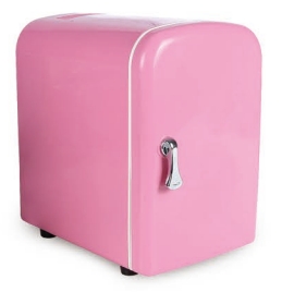 4L Mini Thermoelectric Refrigerator for Car and Home