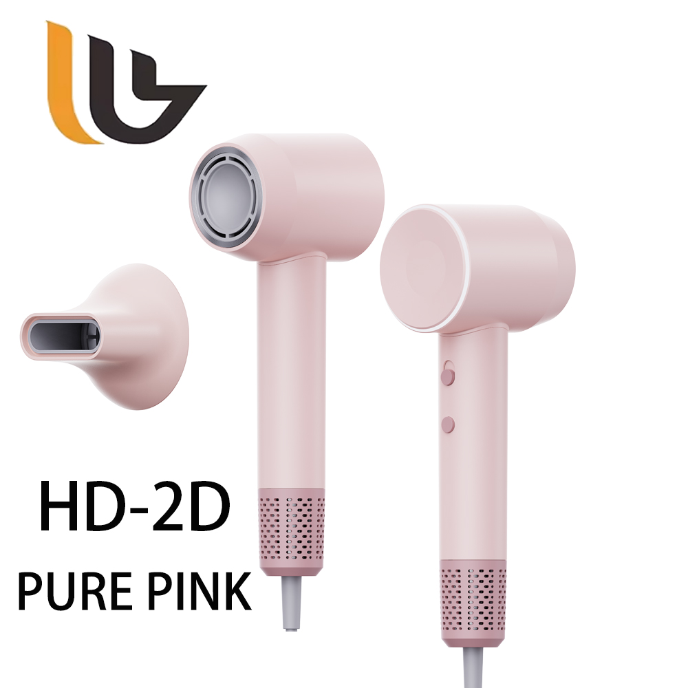 HD-2D Professional Hair Dryer 1500W
