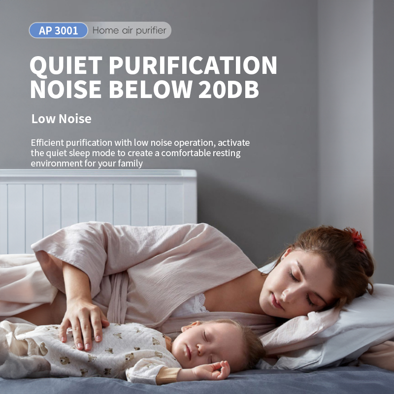Home Air Purifier with HEPA13/14 and Activated Carbon