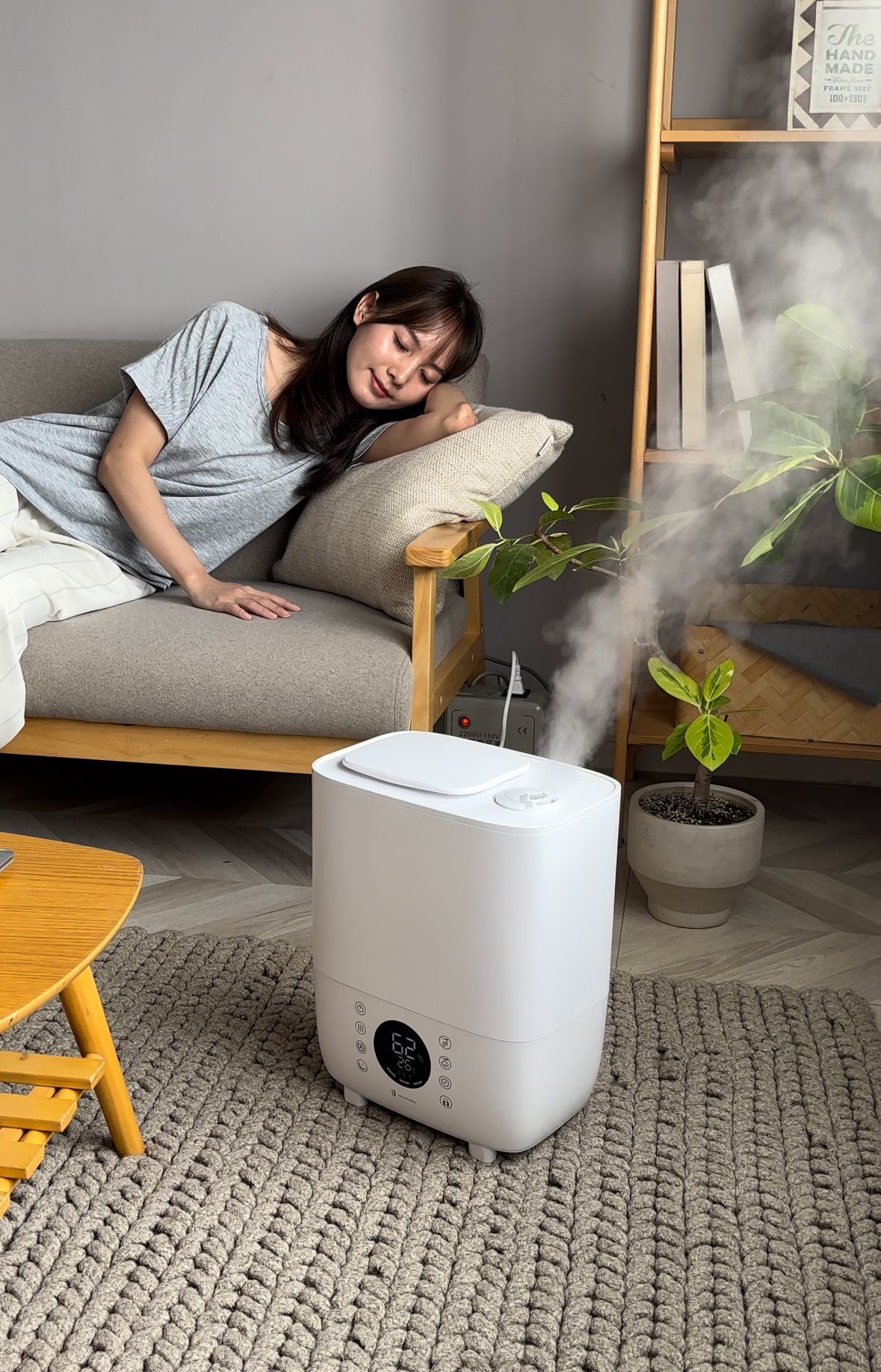 Top Fill Cool Warm Mist Humidifier SH1010