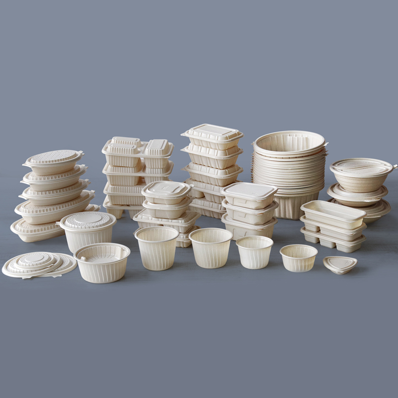 Degradable Fast Food Box