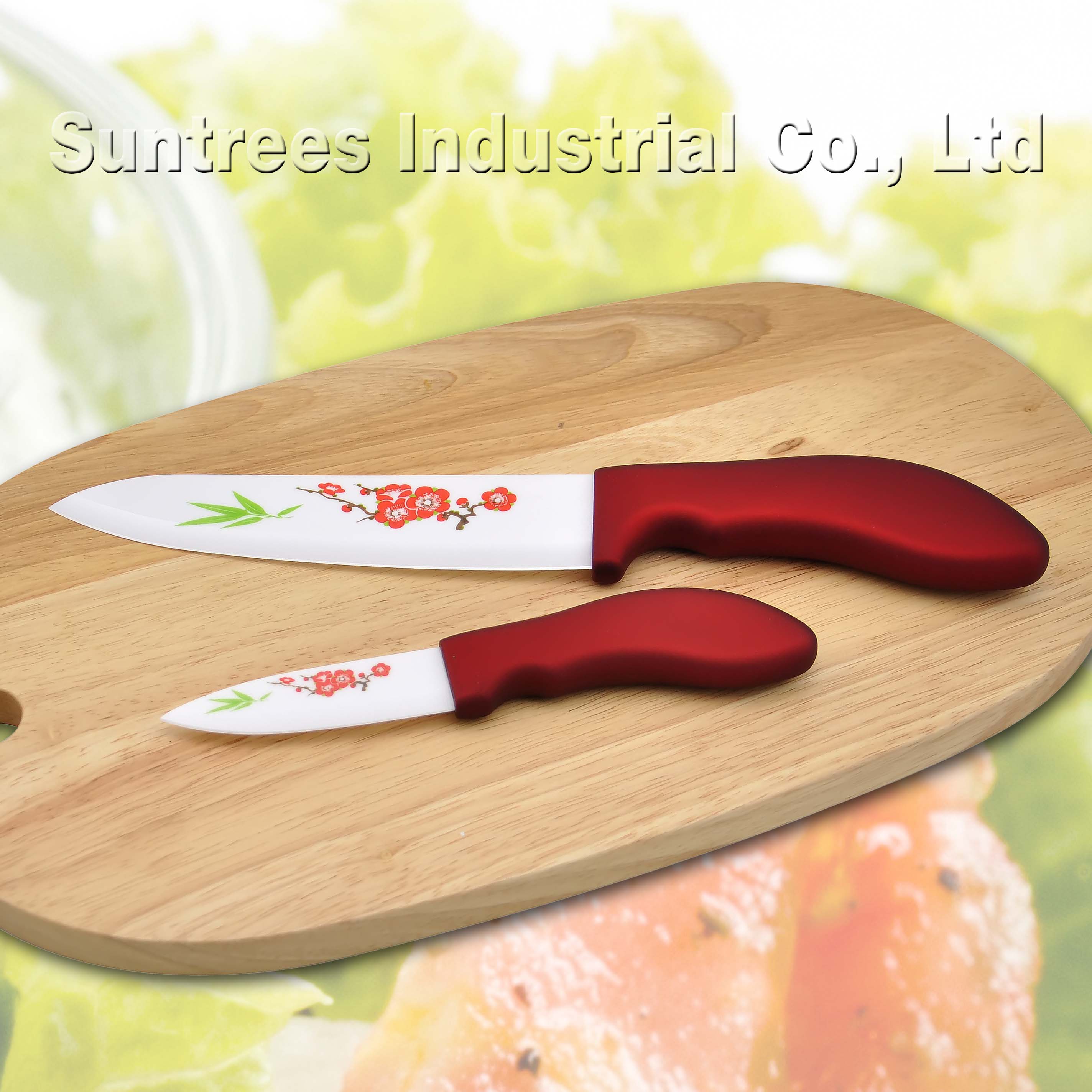2-Piece Ceramic Kitchen Knife Set