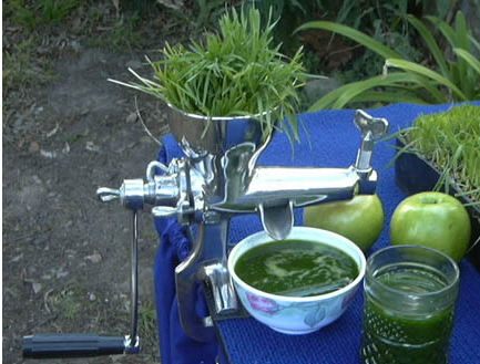 Wheatgrass Juicer