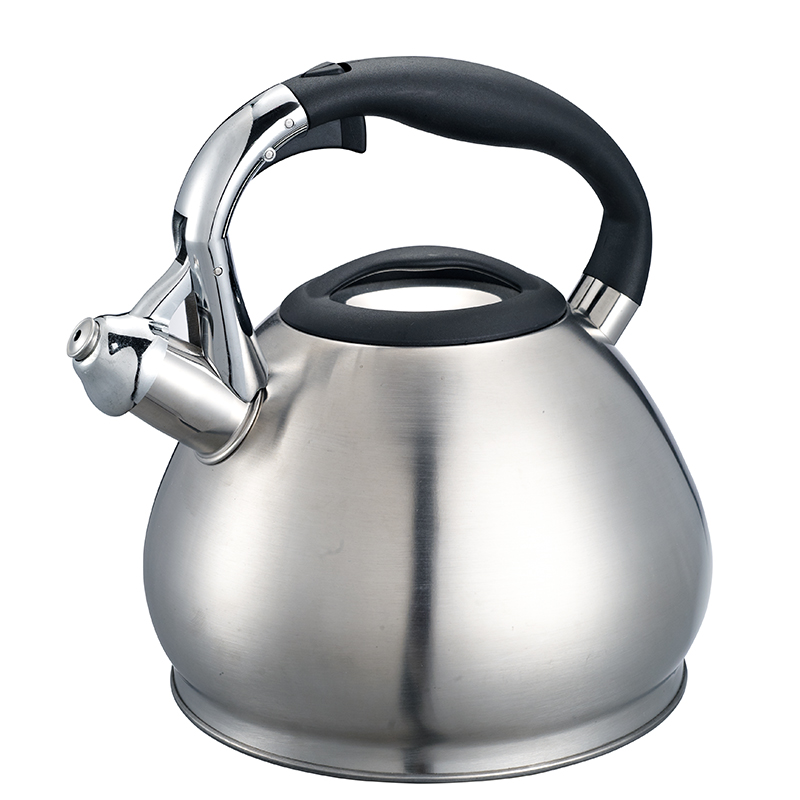 Stainless Steel Whistling Stovetop Kettle