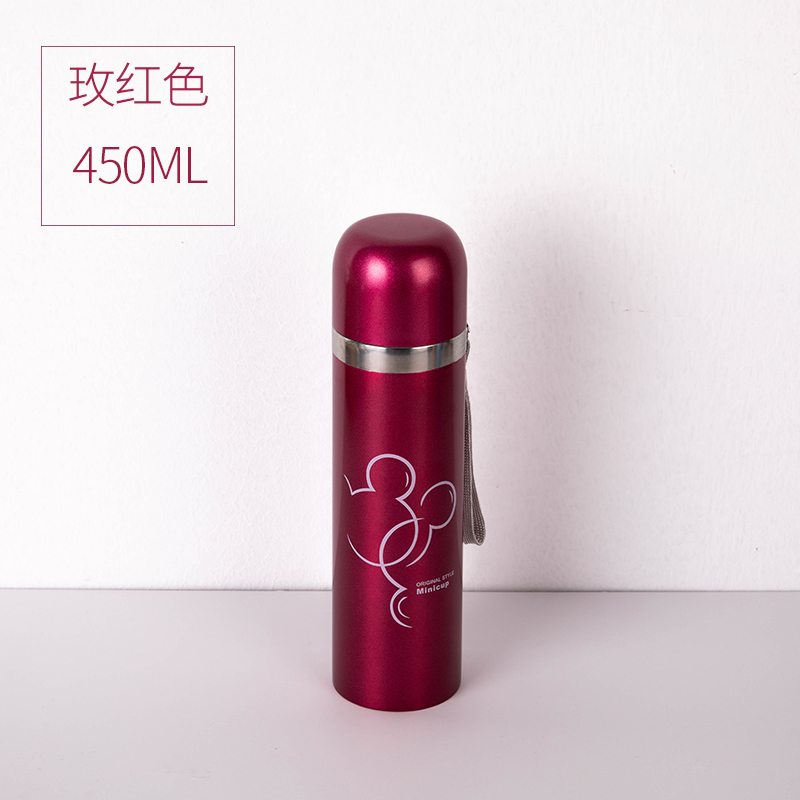 Stainless Steel 500ml Vacuum Bottle