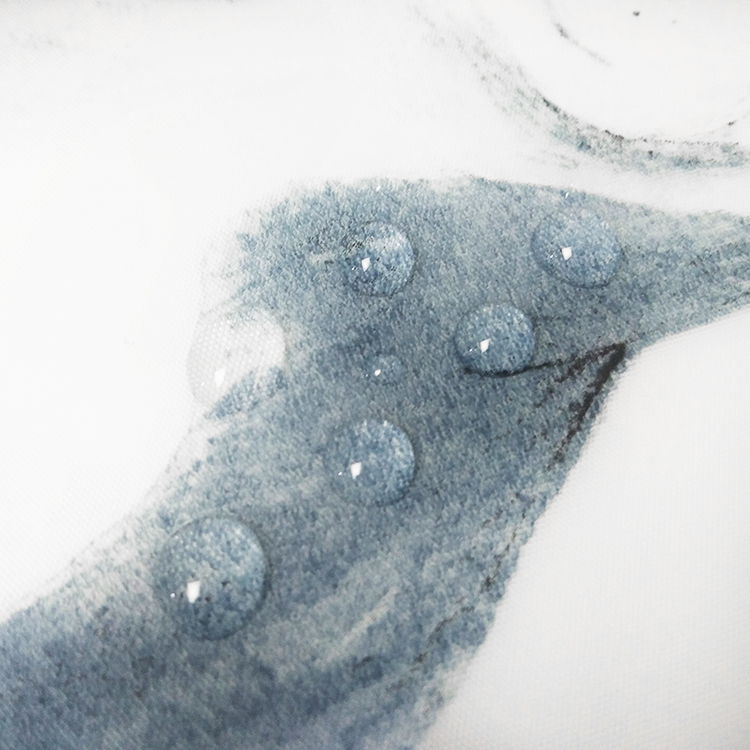 Shower Curtain