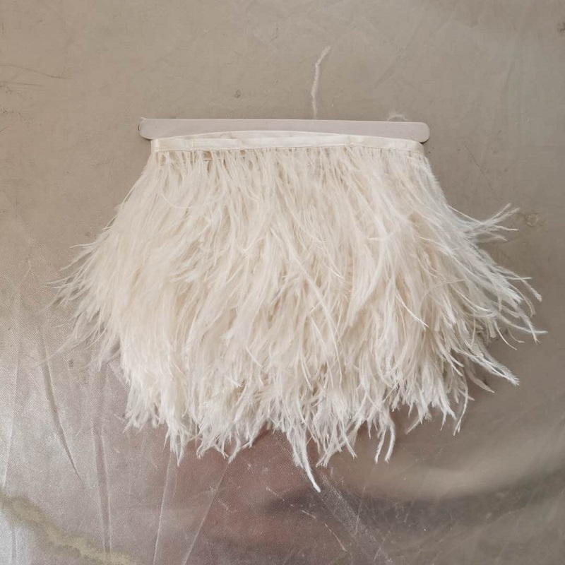 Colored Ostrich Feathers for Party Stage Decoration