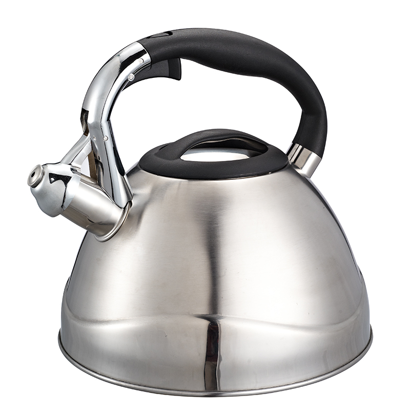 Stainless Steel Whistling Stovetop Kettle