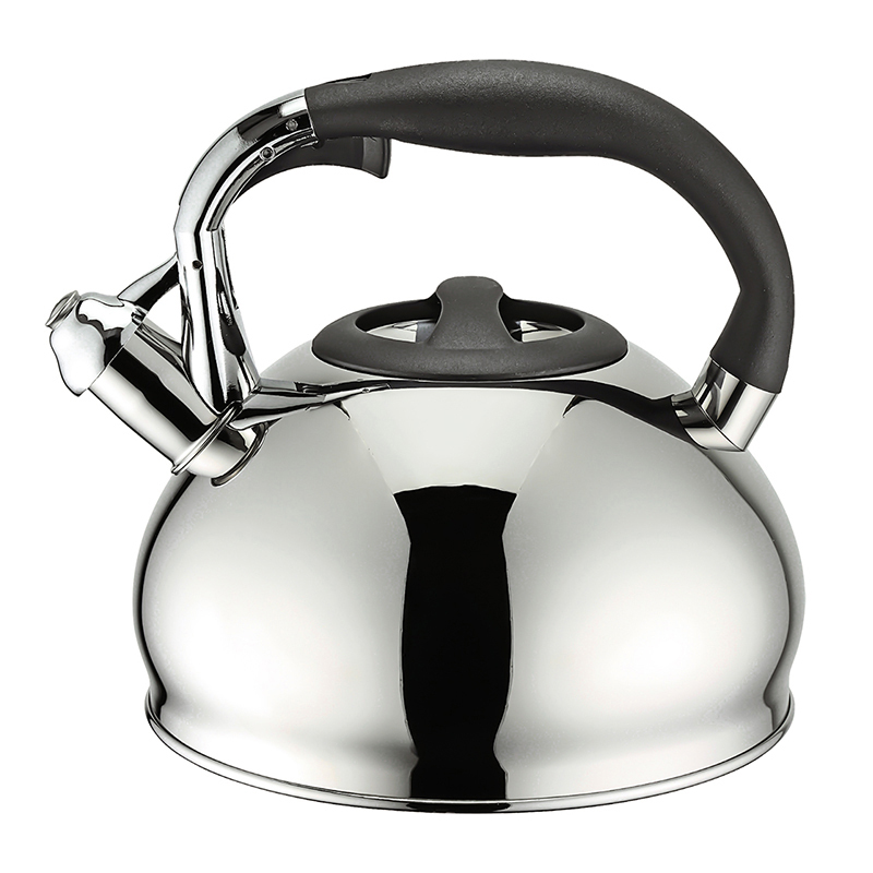 Stainless Steel Whistling Stovetop Kettle