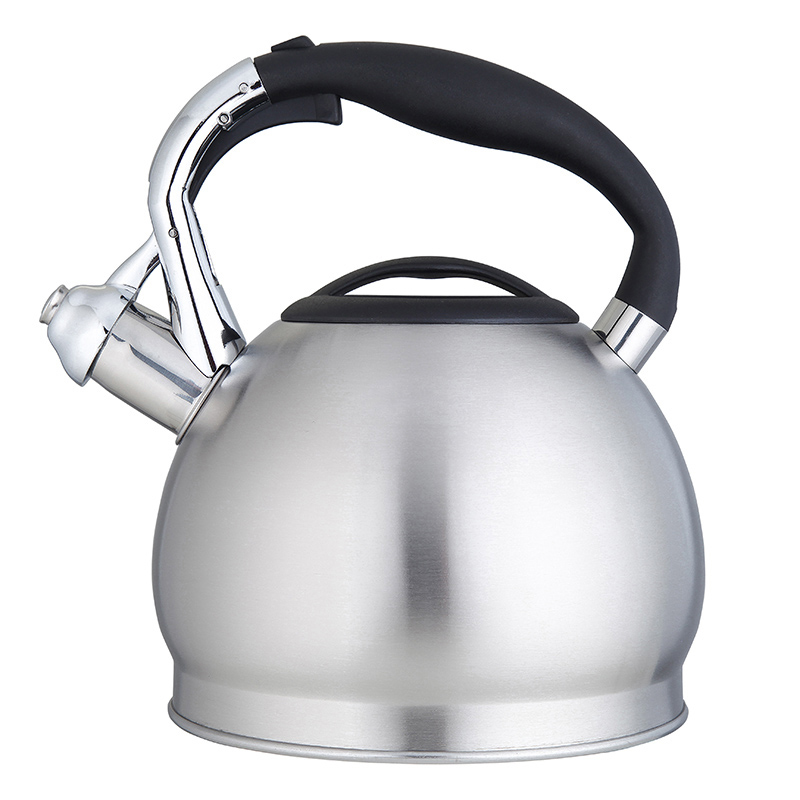 Stainless Steel Whistling Stovetop Kettle