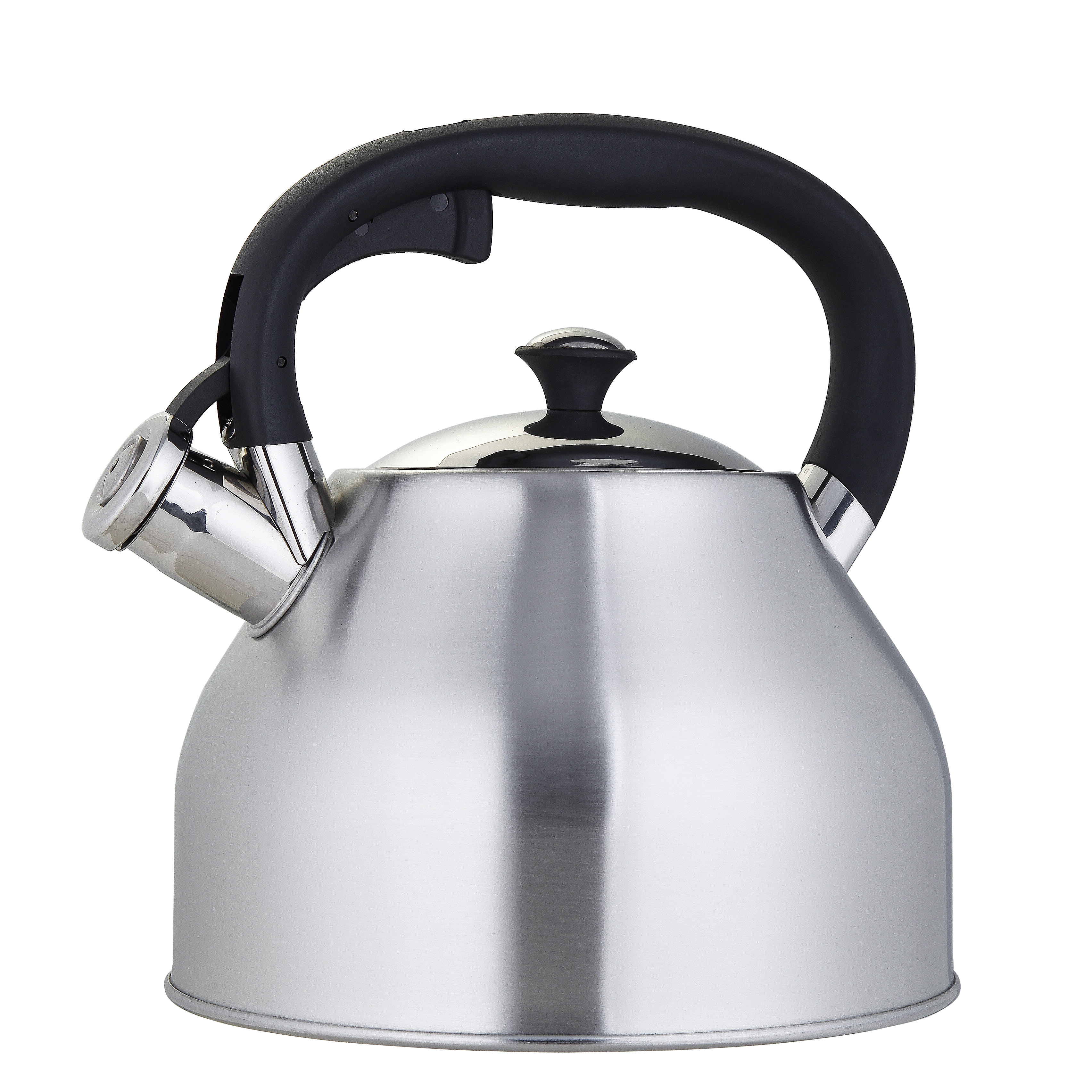 Stainless Steel Whistling Stovetop Kettle