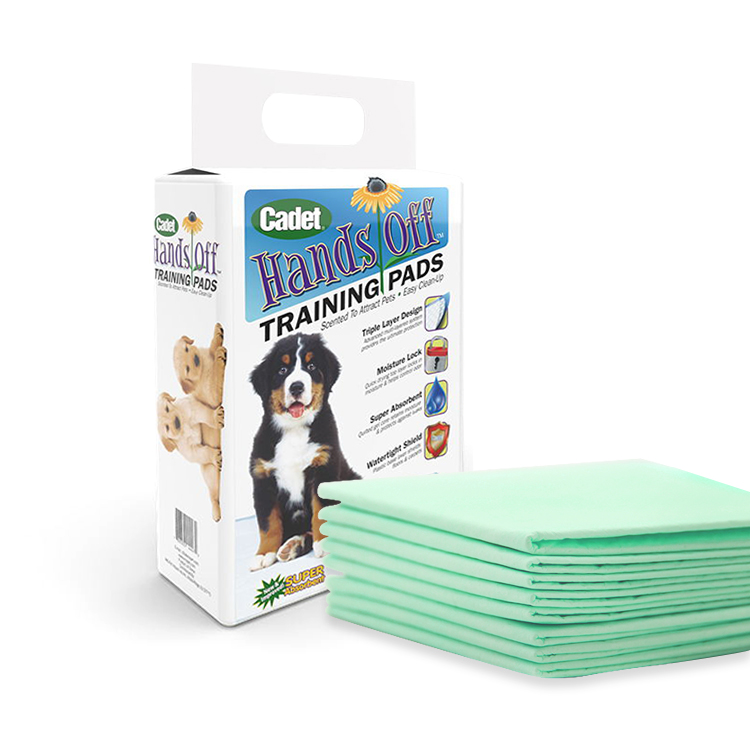 Green Puppy Training Pad 60x60cm 50-Count