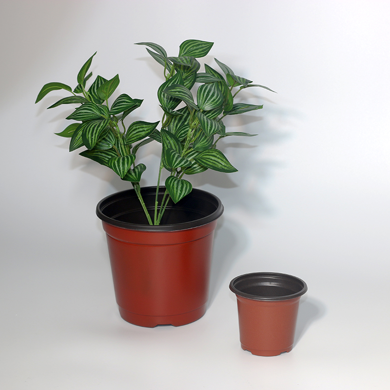 Plastic Flower Pot and Nursery Pot