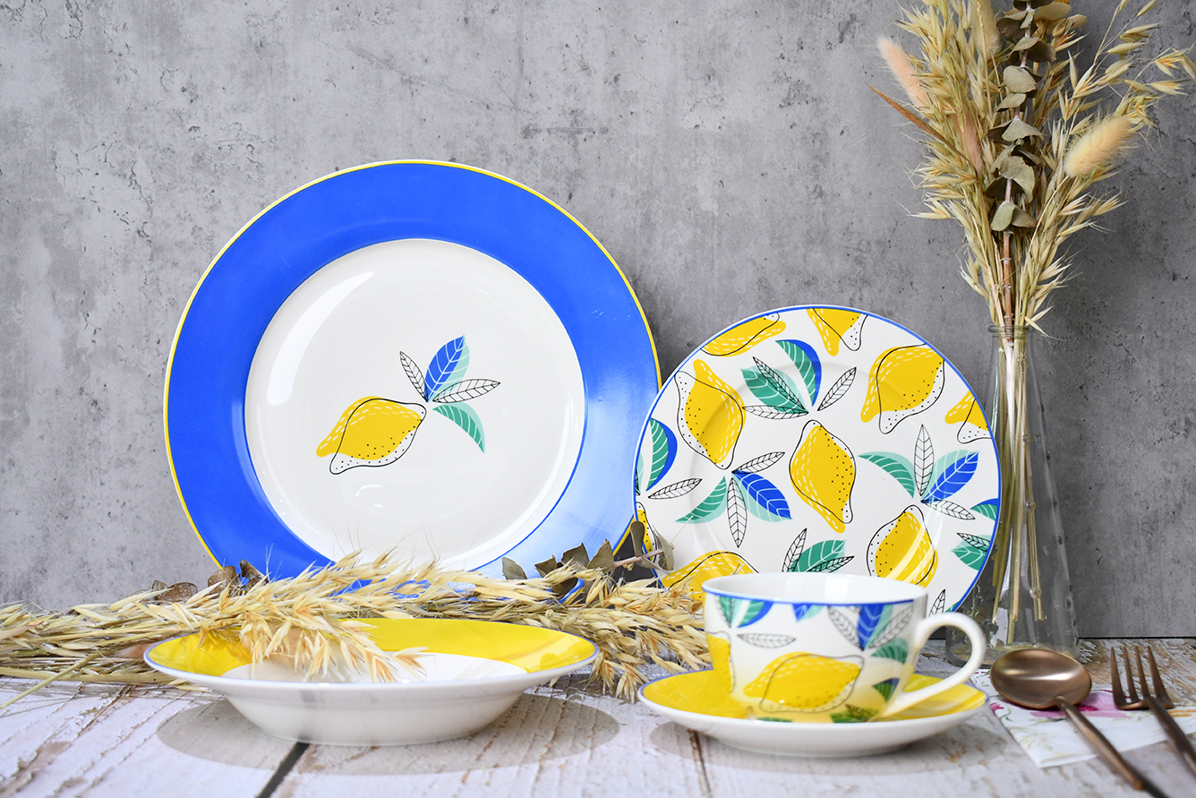 New Bone China Dinner Set
