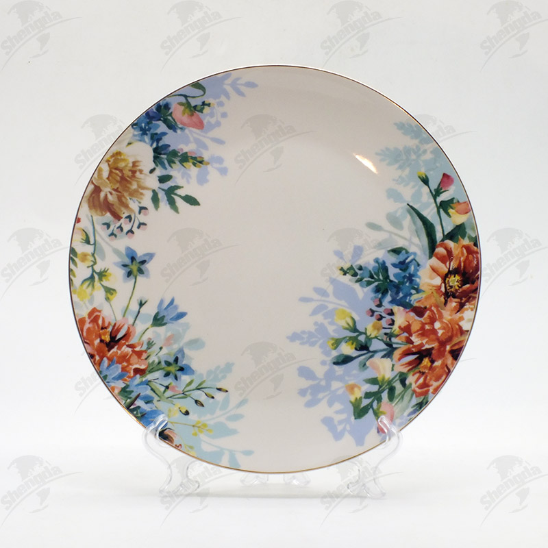 10.5 Inch Dinner Plate
