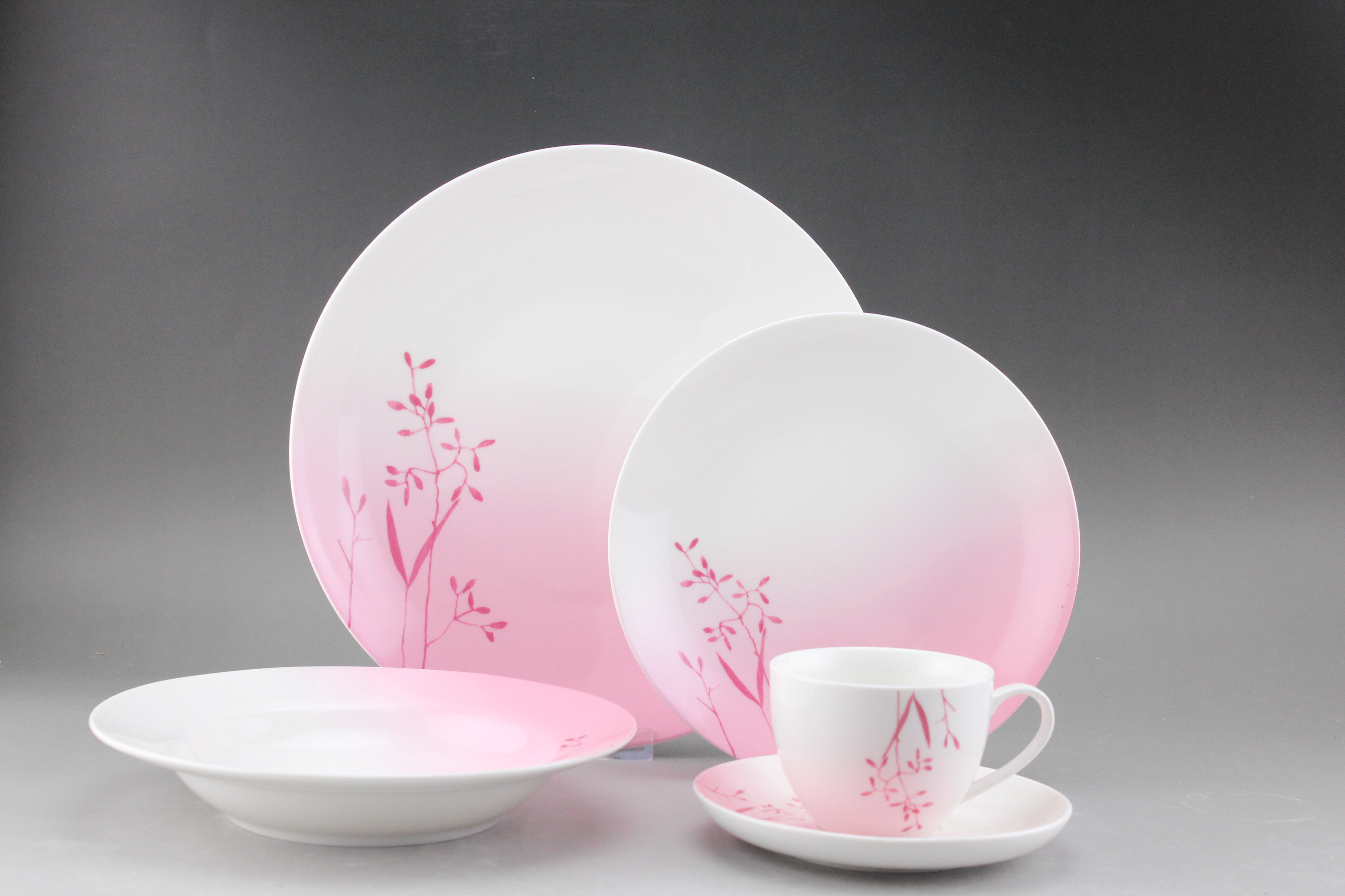 New Bone China Dinner Set