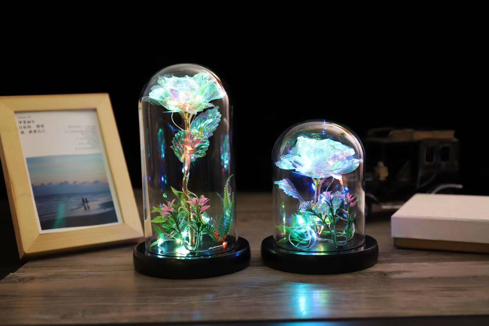 Canton Fair product