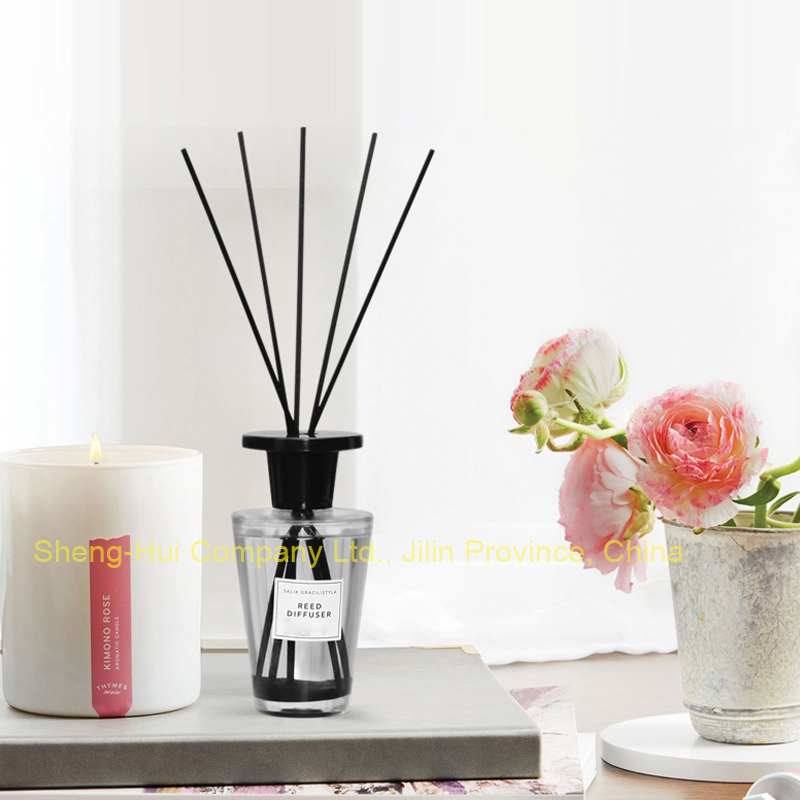 Plain V Bottle Aromatherapy Diffuser