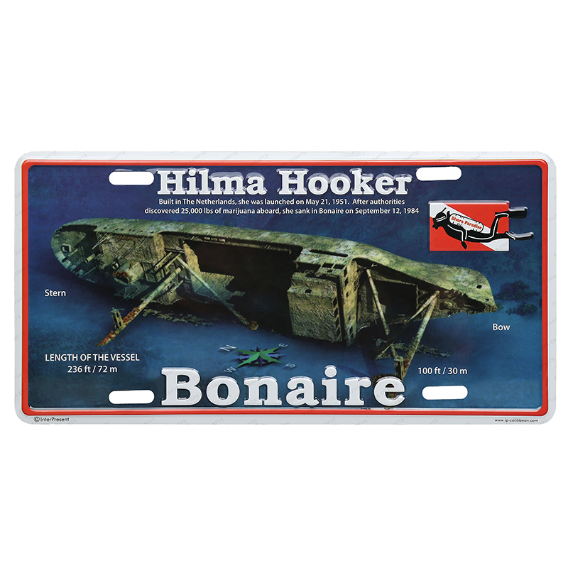 Custom 3D Embossed Decorative Car License Plate