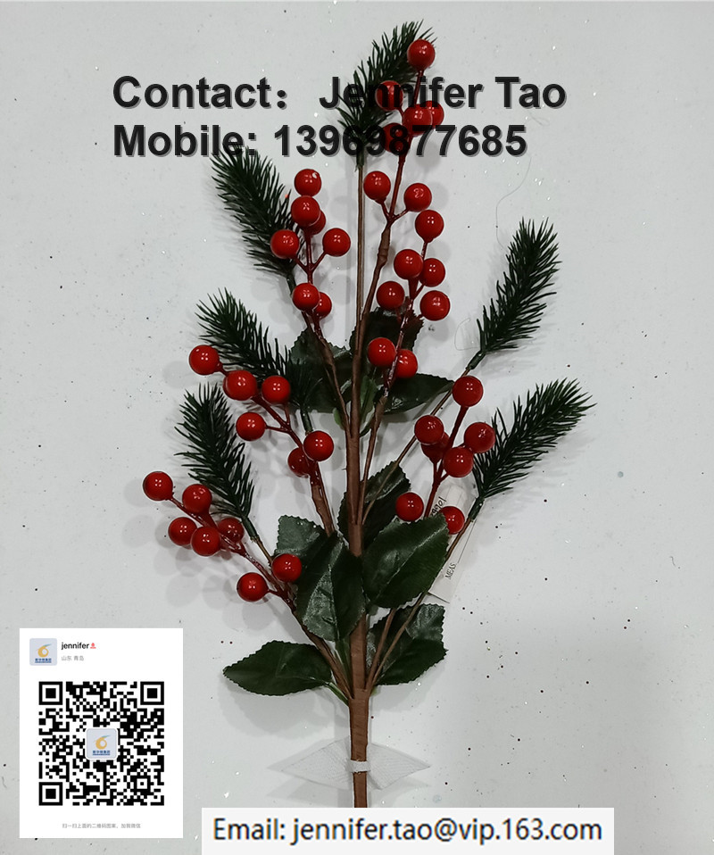 Poinsettia Red Berry