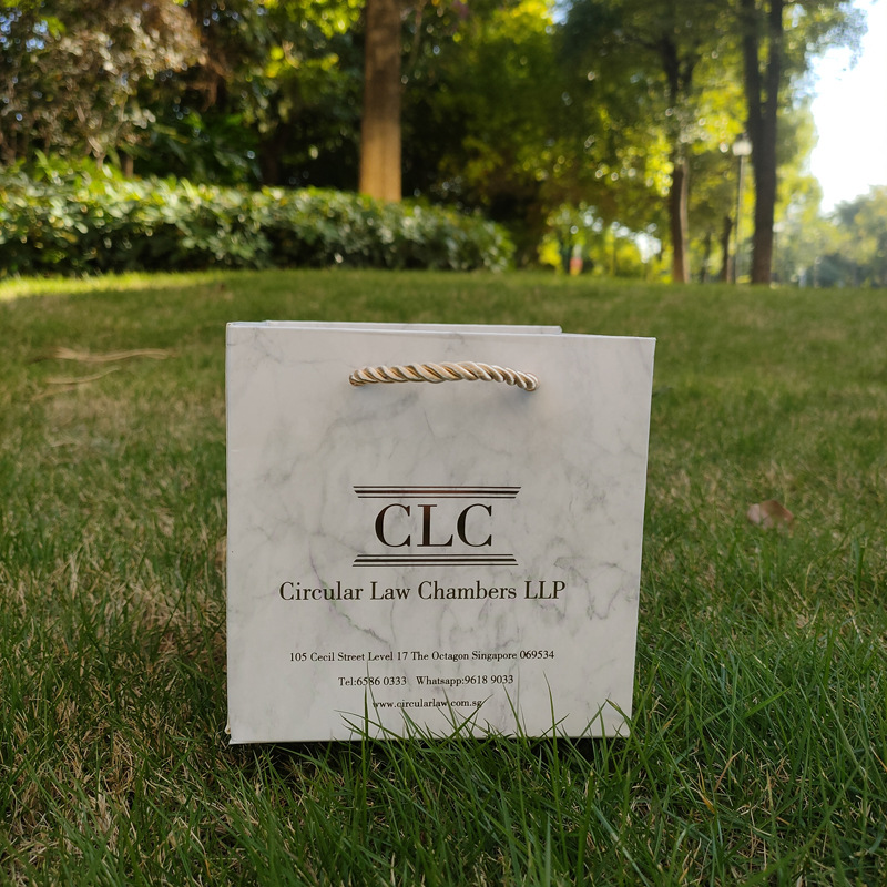 Luxury Marble Printed Paper Gift Bag with Custom Logo