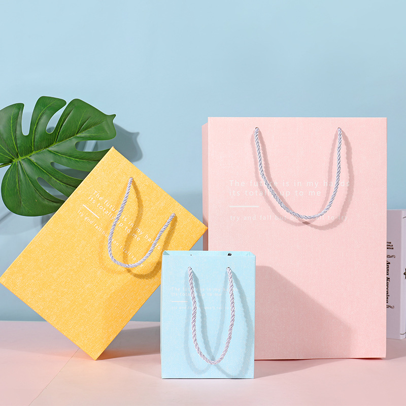 Custom Print Logo Luxury Jewelry Gift Packaging Bag