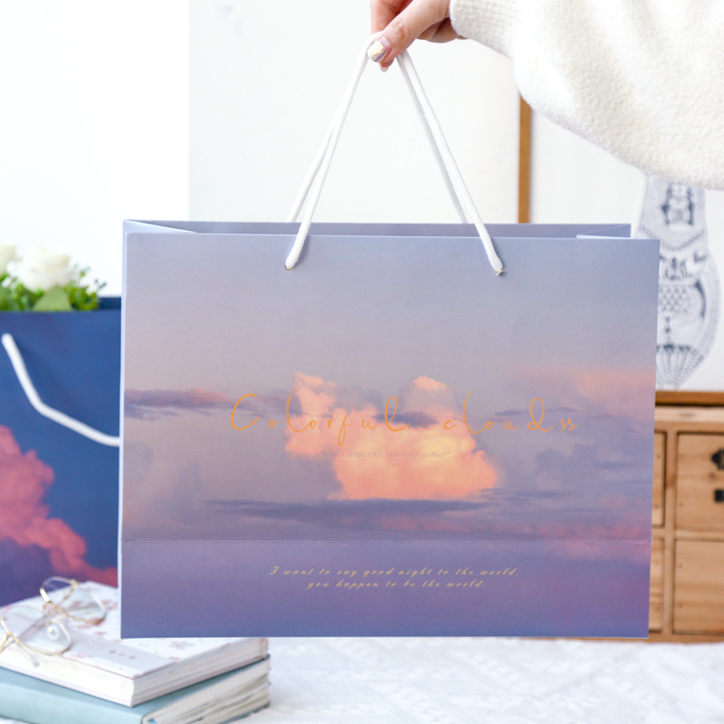 Custom Eco Recyclable Paper Shopping Bag with Handle