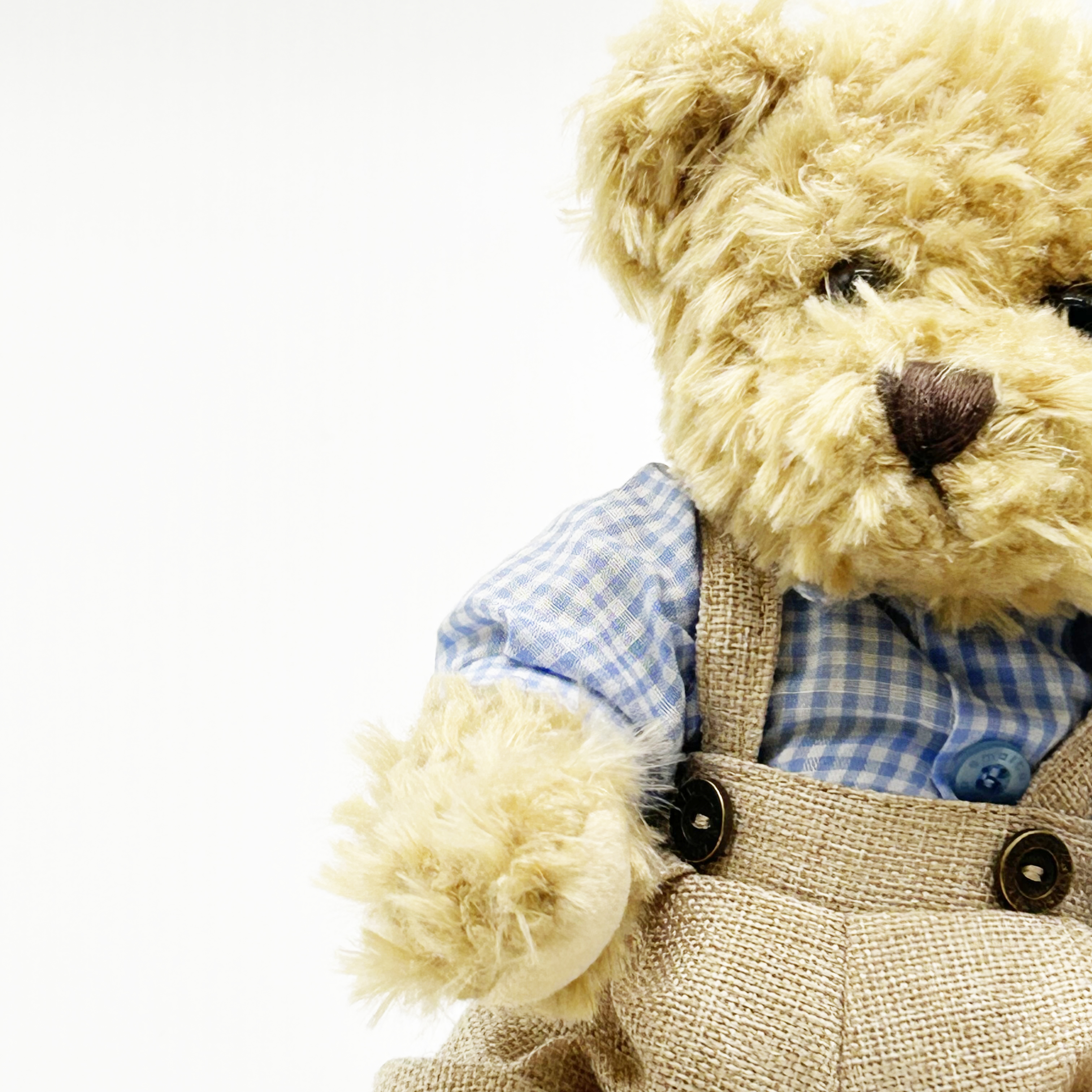 Joint Wear Lovers Bear