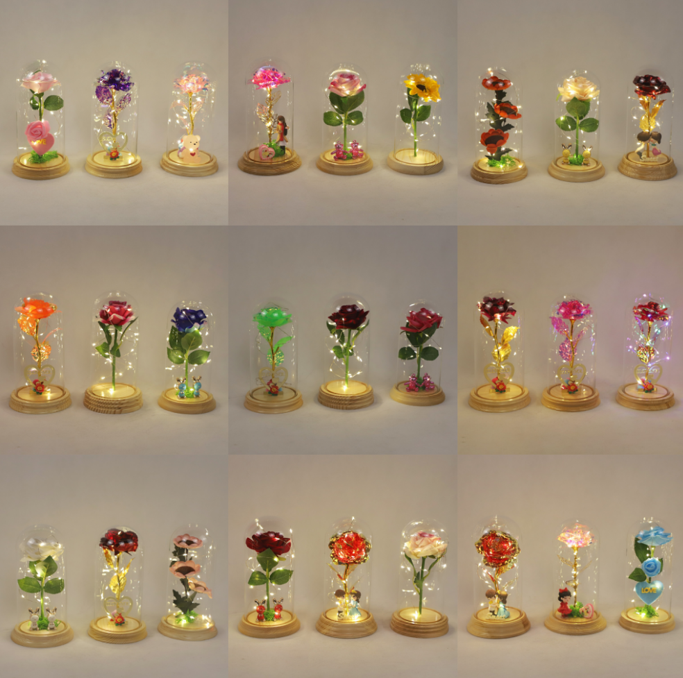 Canton Fair product