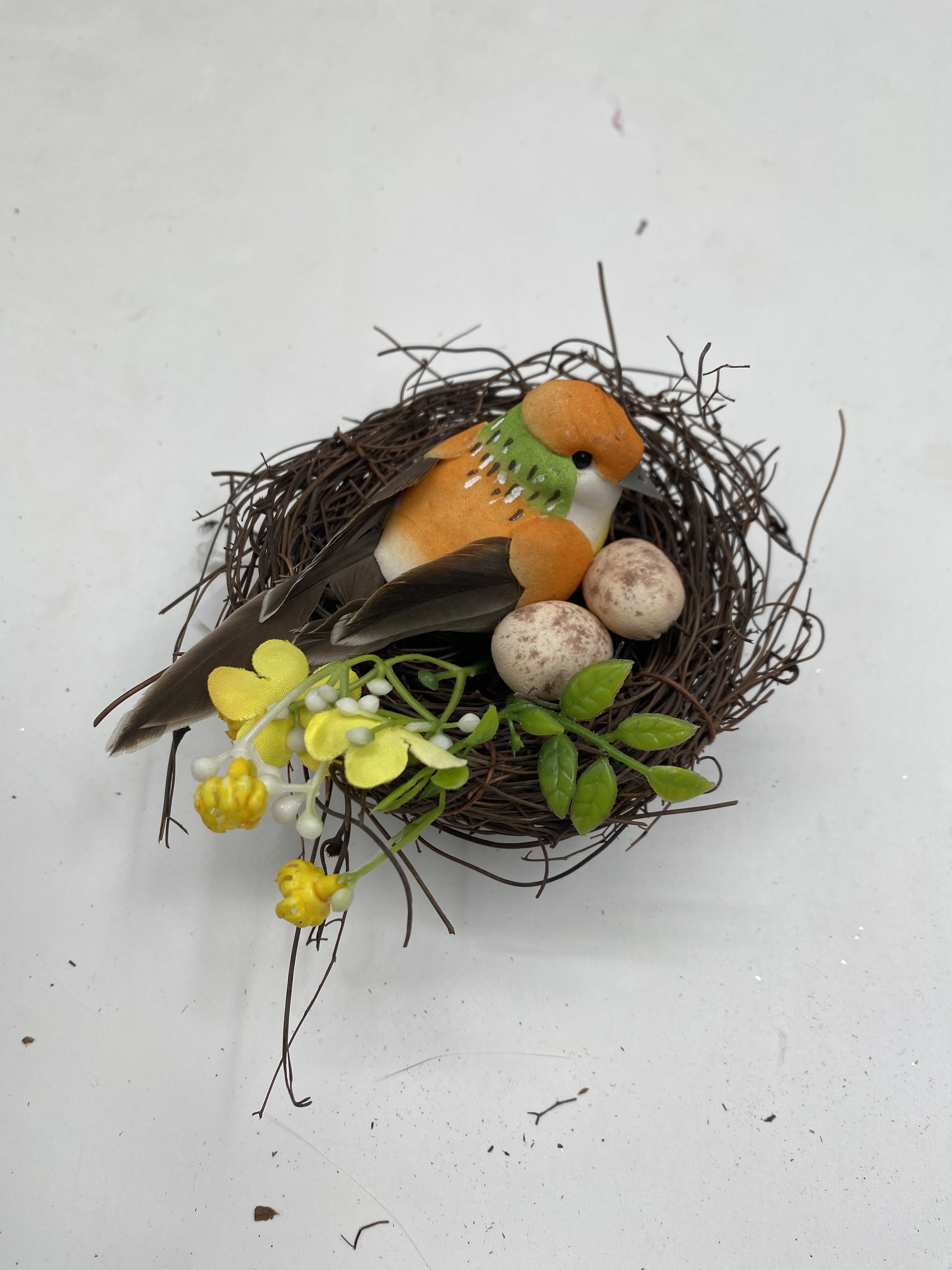 Bird Nest