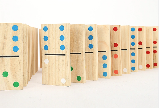 Wooden Domino Building Blocks Set