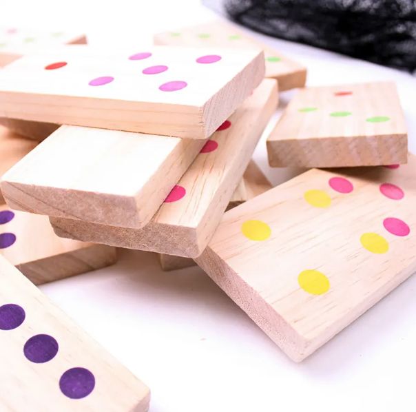 Wooden Domino Building Blocks Educational Toy Set