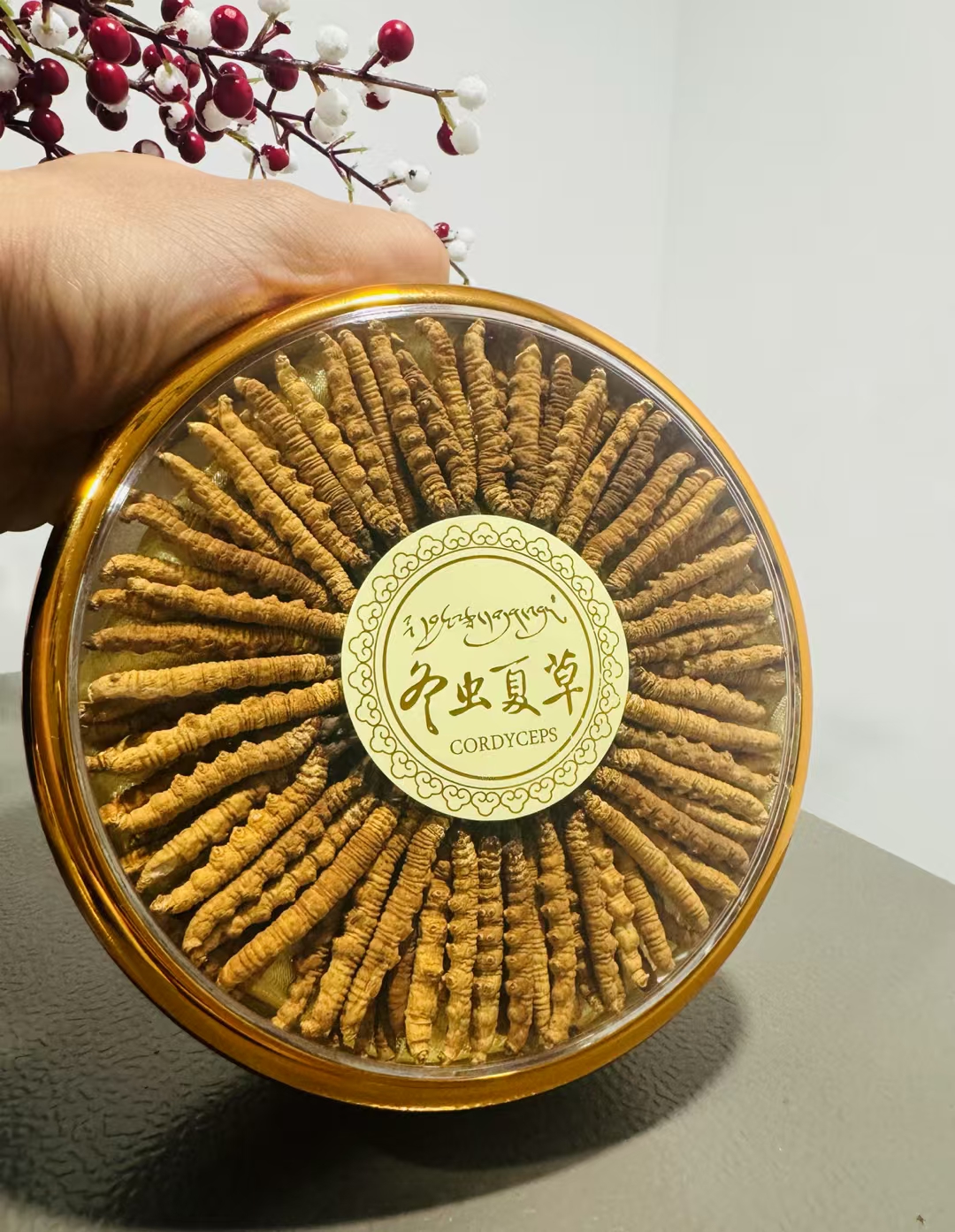 Cordyceps