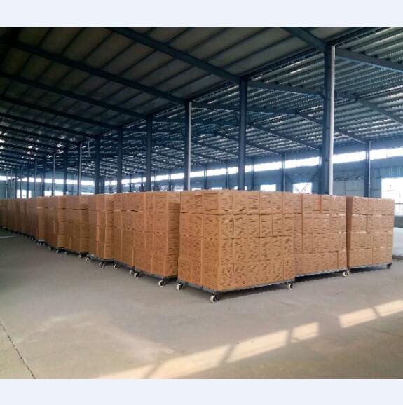 Canton Fair product