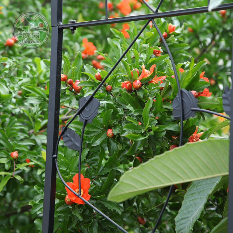 Metal Garden Arch