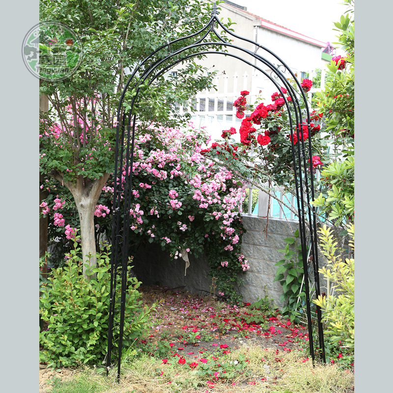 Metal Garden Arch