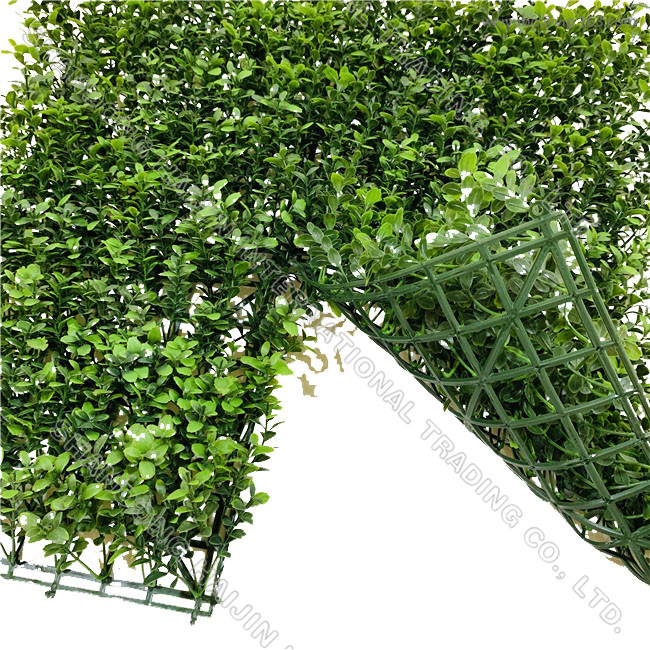 Artificial Boxwood Green Wall Panel 50x50cm